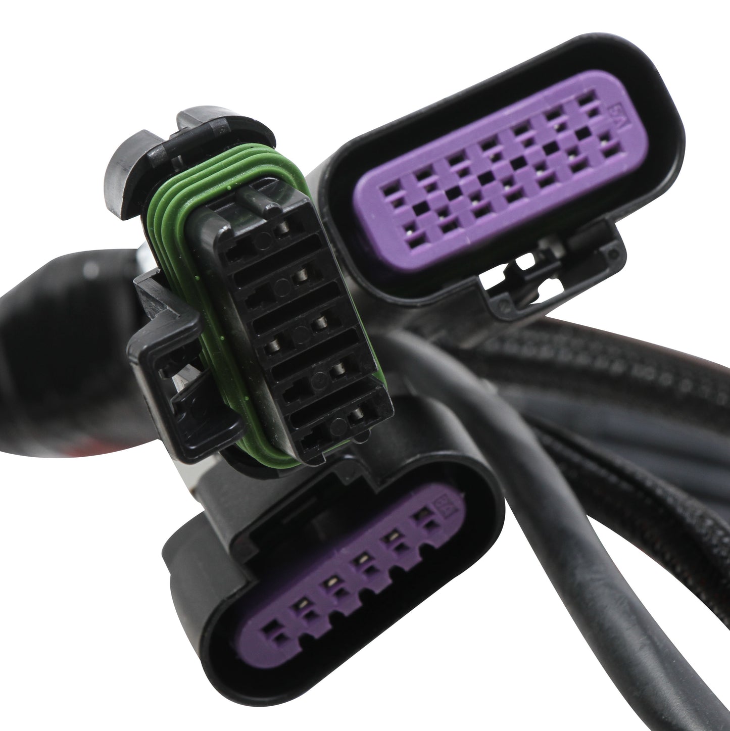 Terminator Stealth 2x4 Main Harness