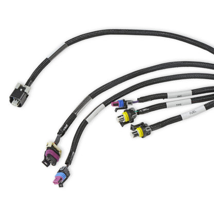 LS2/3/7+ (58x/4x) Engine Main Harness - Extended Length
