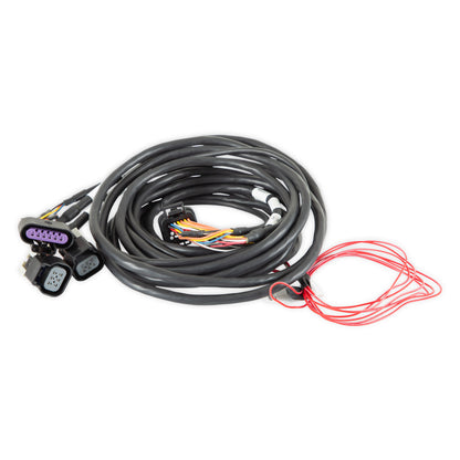 Dominator EFI GM Dual Drive-By-Wire Harness