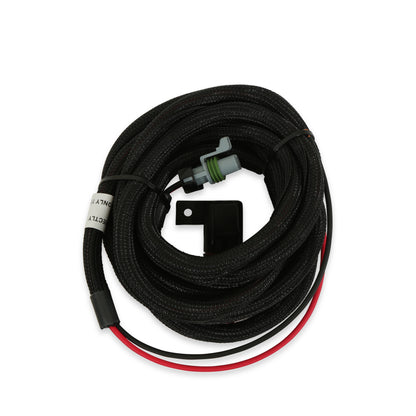 Ford Modular 2 Valve EFI Harness Kit