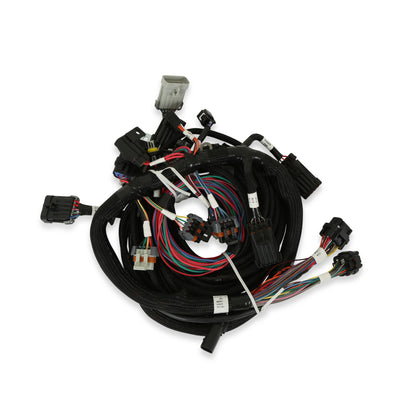 Ford Modular 2 Valve EFI Harness Kit