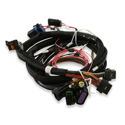 Terminator Main Harness