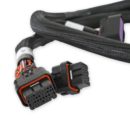 Holley EFI GM GEN V GDI Subharness