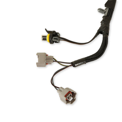 Terminator Throttle Body Harness
