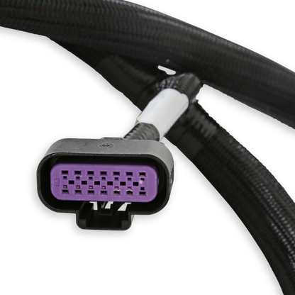 Holley EFI GM GEN V GDI Subharness