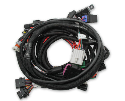Holley EFI Coyote Ti-VCT Main Harness for Holley EFI HP Smart Coils (2011-2017)
