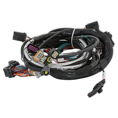 Holley EFI LT4 Engine Main Harness