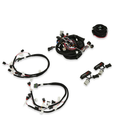 Ford Modular 2 Valve EFI Harness Kit