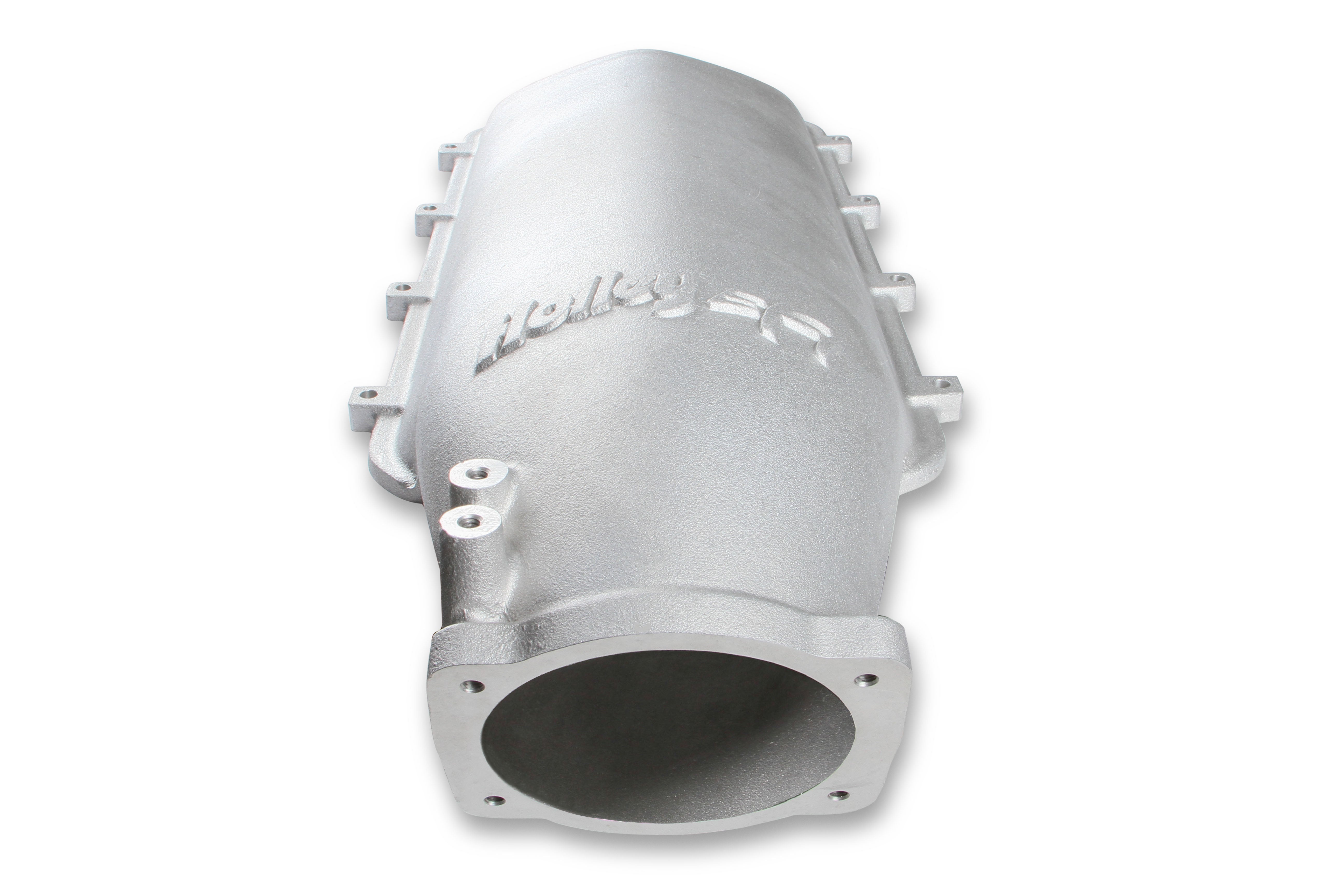 Holley Modular Lo-Ram EFI Manifold LS1/2/6