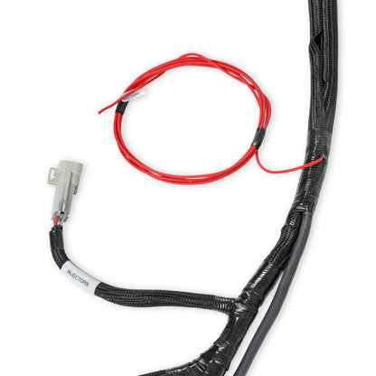 LS2/3/7+ (58x/4x) Engine Main Harness - Extended Length