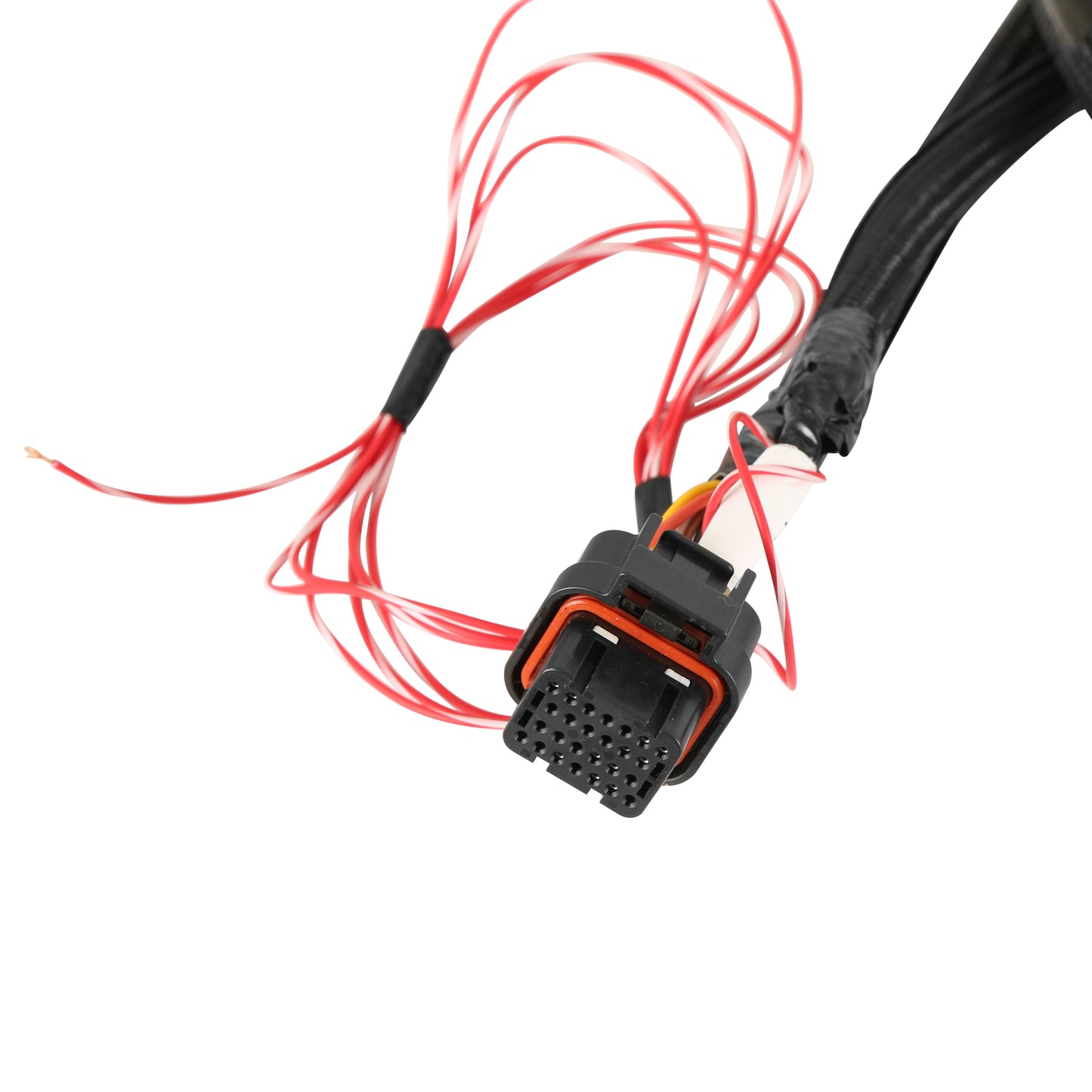Holley EFI Terminator X DBW Harness - GM GEN V LTX