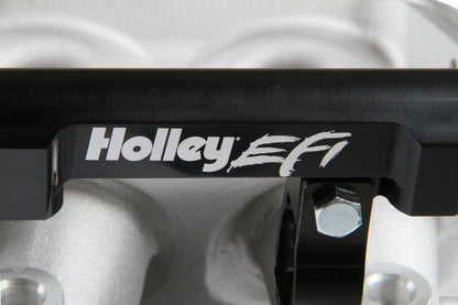 Holley Modular Lo-Ram EFI Manifold LS1/2/6