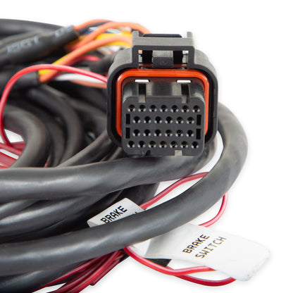 Dominator EFI GM Dual Drive-By-Wire Harness