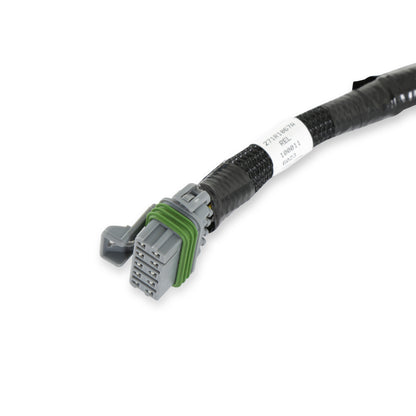 Ford V8 Injector Harness