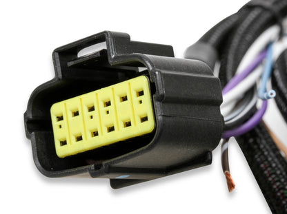 Holley EFI Transmission Control Harness - 1998+ Ford 4R70W/4R75W