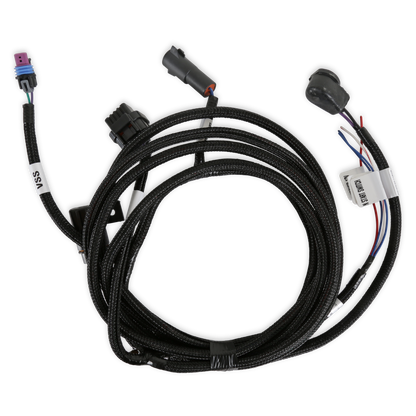 Holley EFI Transmission Harness - TKO