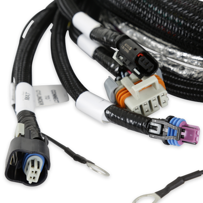 Holley EFI Gen V LT Engine Main Harness