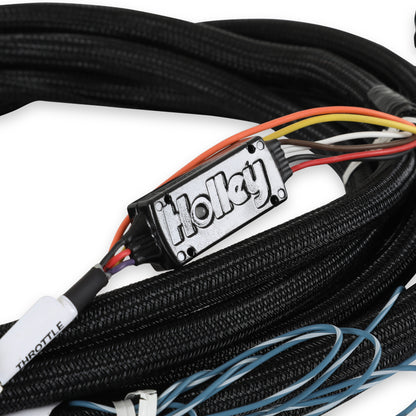 2018-2022 Ford DBW Harness