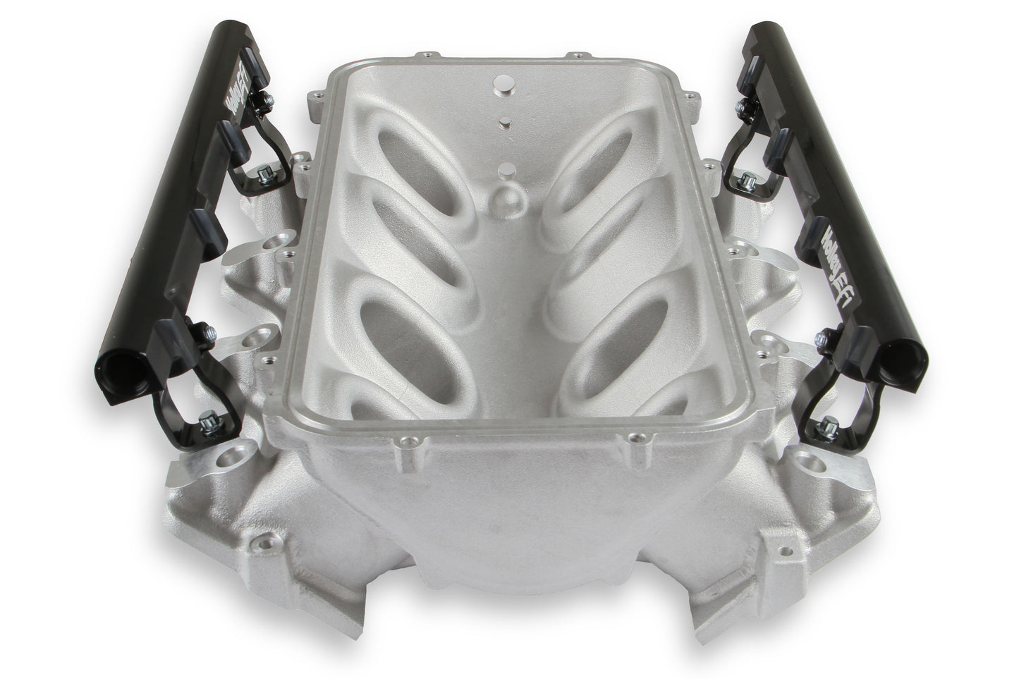Holley Modular Lo-Ram EFI Manifold LS1/2/6