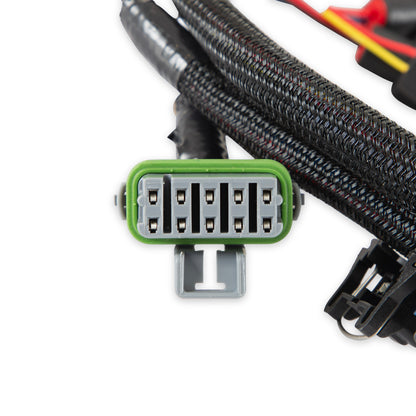 Ford V8 Injector Harness