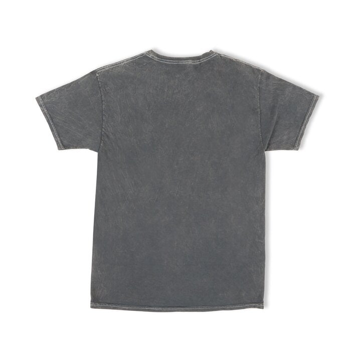 Holley EFI Mineral Washed Distressed Tee