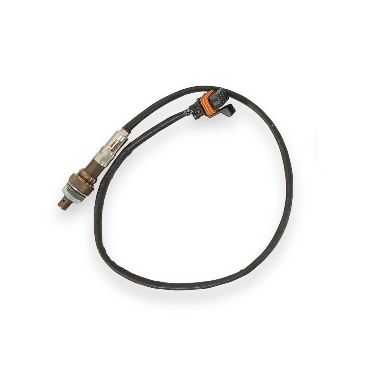 Terminator LS MPFI Kit