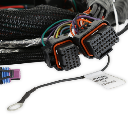 Holley EFI Gen V LT Engine Main Harness