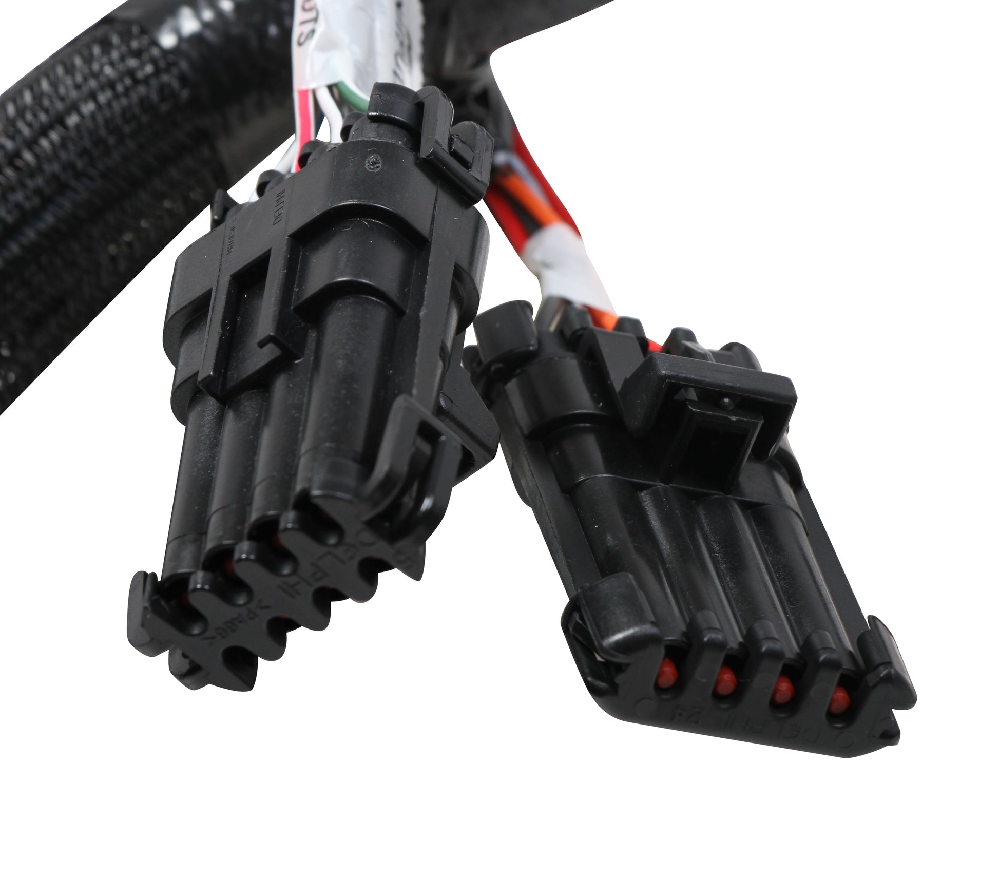 Terminator Stealth 2x4 Main Harness