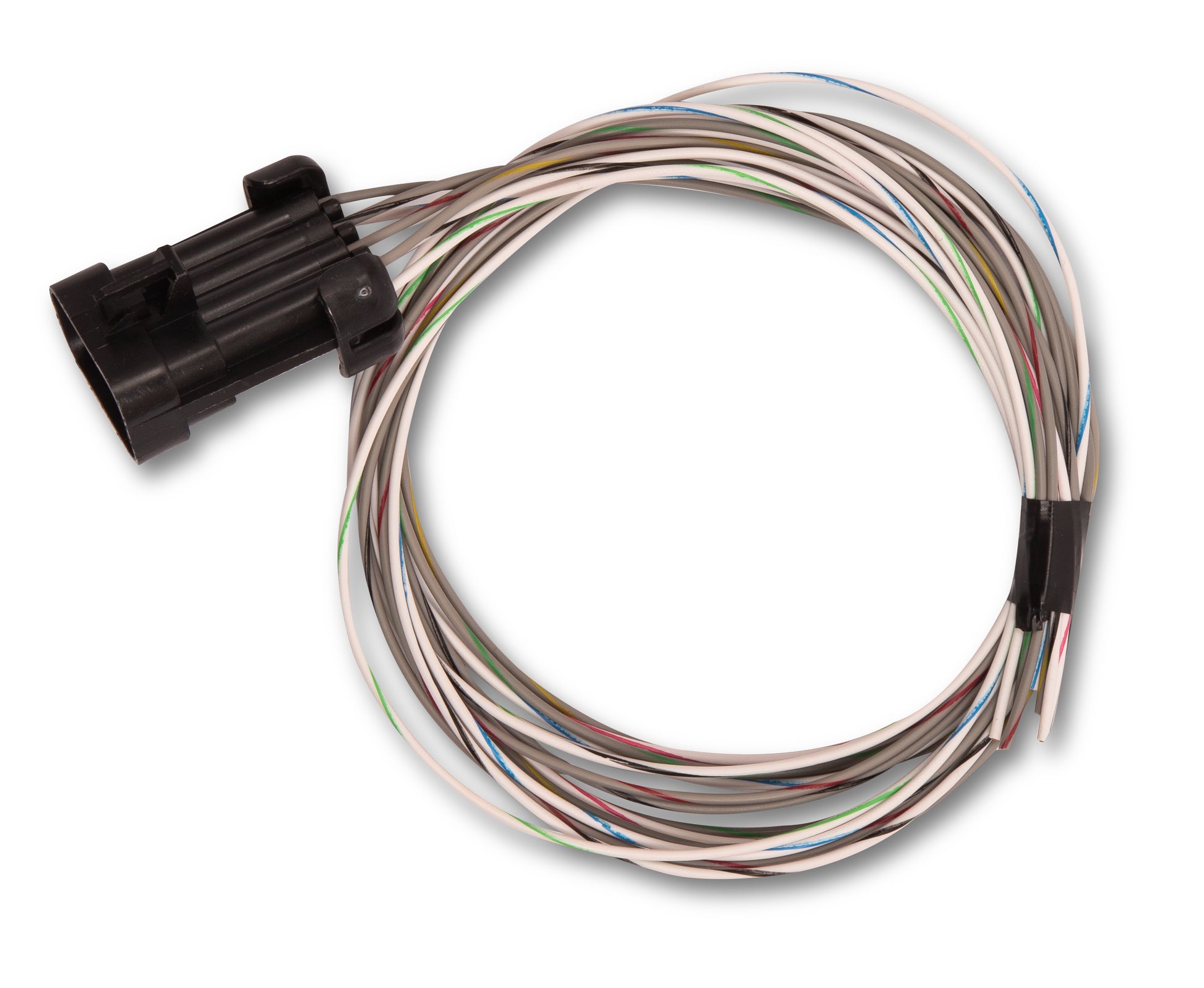 Holley EFI Terminator X Max - LS1/LS6