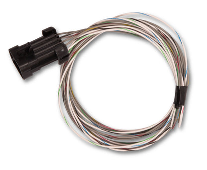 Holley EFI Terminator X Max - LS1/LS6