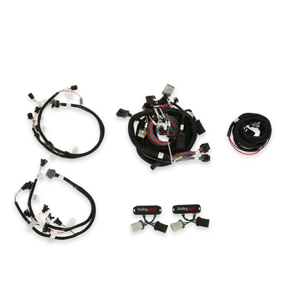 Ford Modular 2 Valve EFI Harness Kit