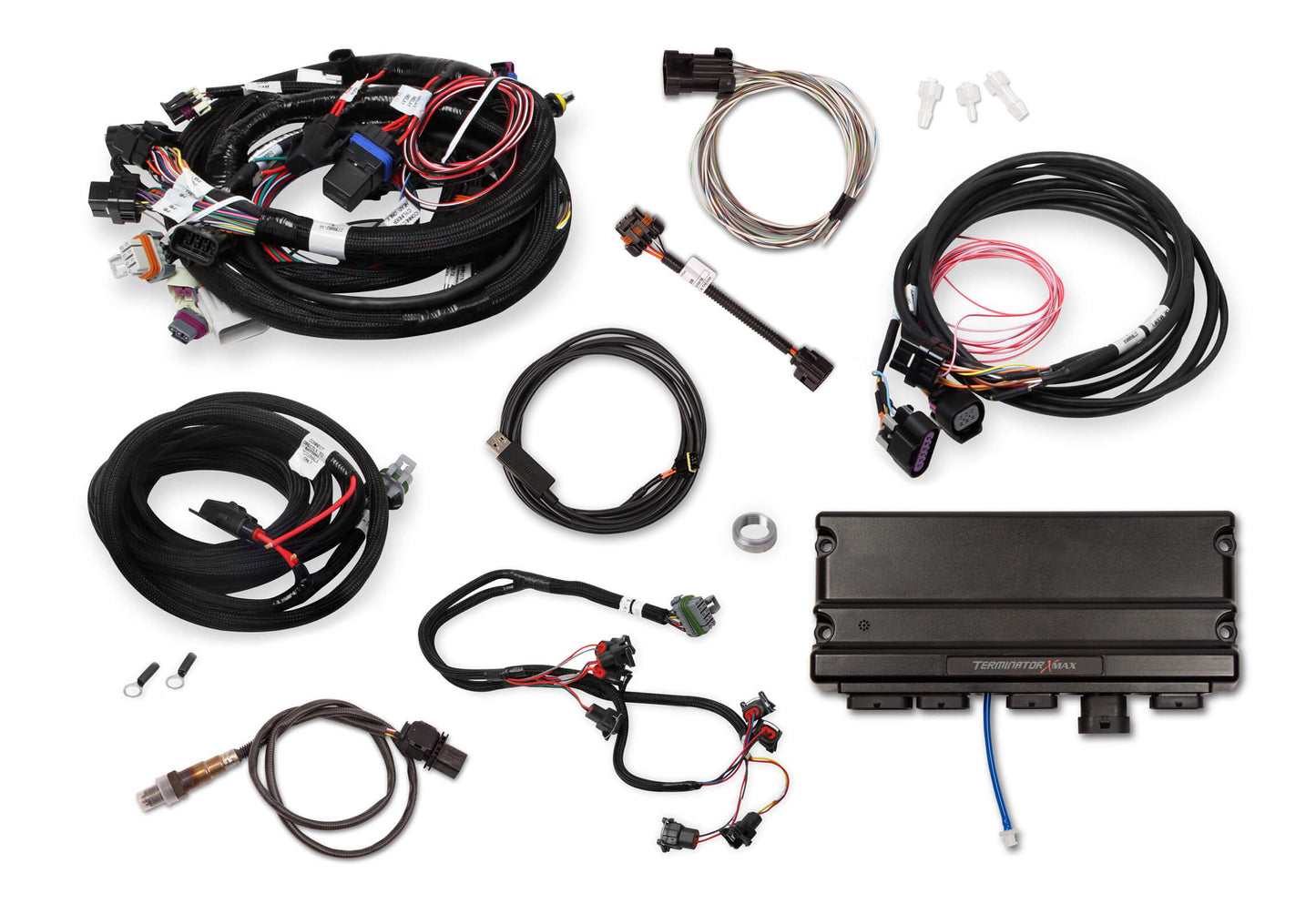 Holley EFI Terminator X Max - LS1/LS6