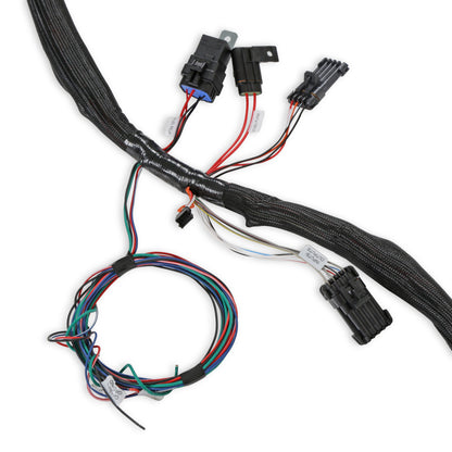 LS2/3/7+ (58x/4x) Engine Main Harness - Extended Length