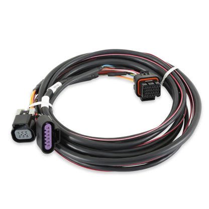 Holley EFI GM Drive-By-Wire Harness