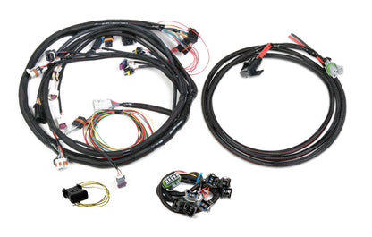 Universal Ford V-8 Harness Kit