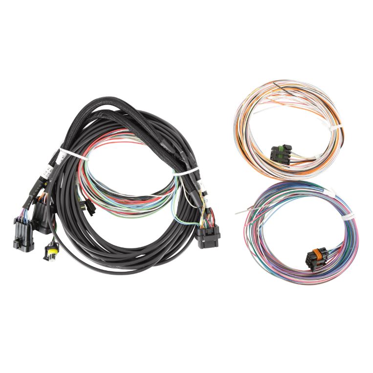 Holley EFI Pro Dash Standalone Service Harness