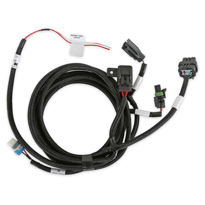 Holley EFI Transmission Harness - T-56 Magnum