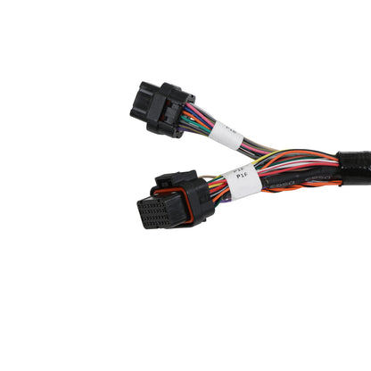 TPI/Stealth Ram Main Harness