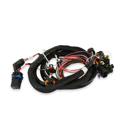 Terminator Main Harness