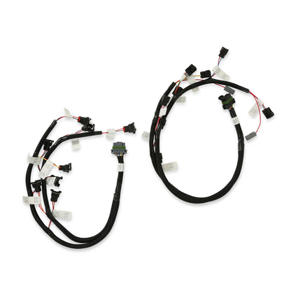 Ford Modular 2 Valve EFI Harness Kit