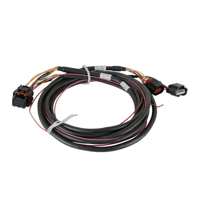 Ford Coyote Drive-By-Wire Harness
