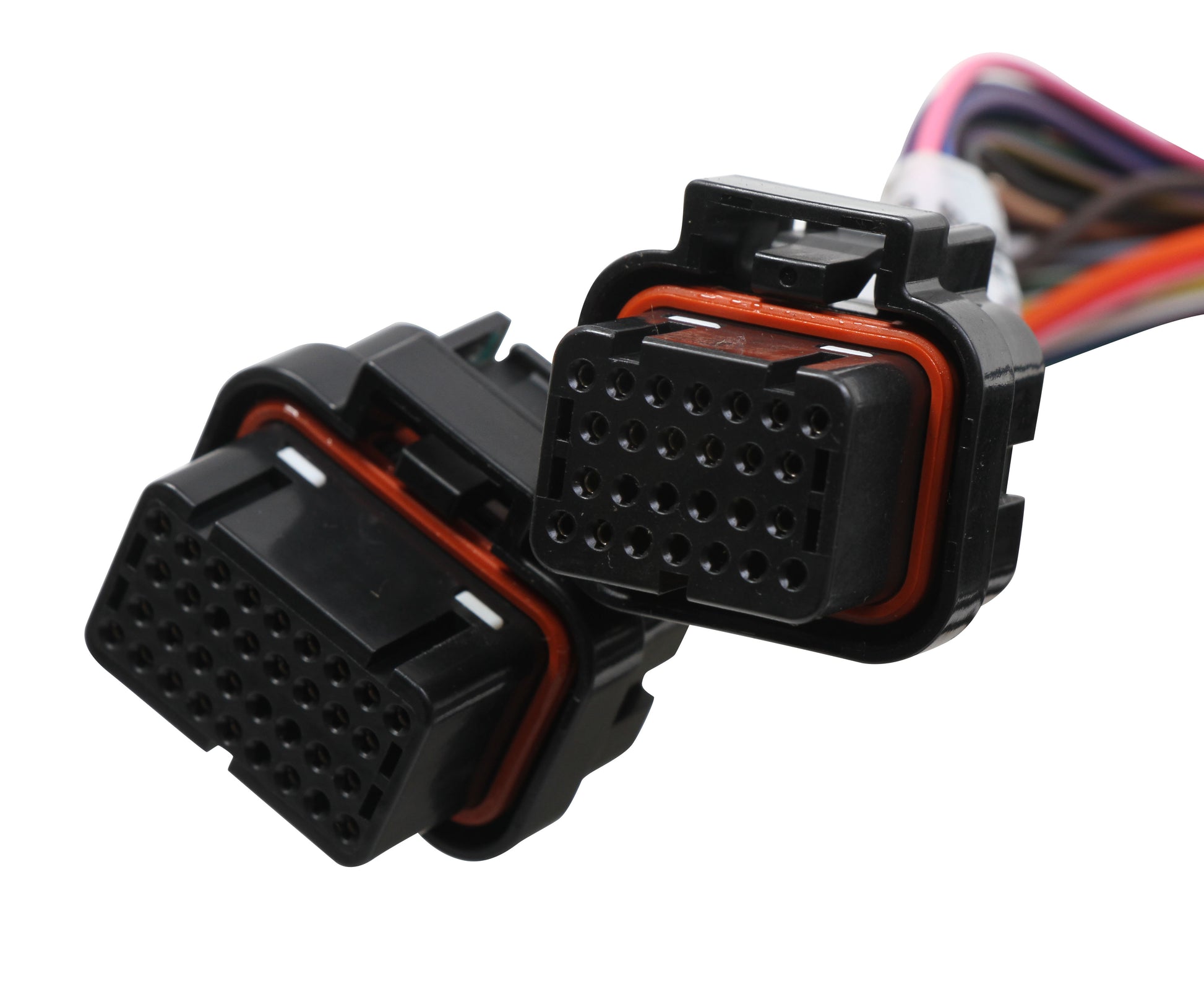 Terminator Stealth 2x4 Main Harness