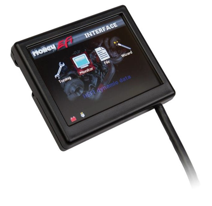 Terminator LS MPFI Kit