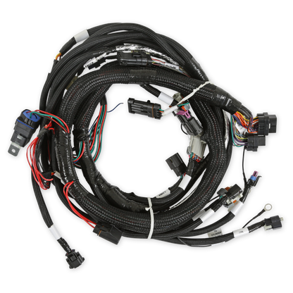 Holley EFI Gen V LT Engine Main Harness