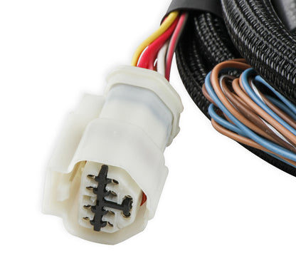 Holley EFI Transmission Control Harness - 1992-1997 Ford AODE/4R70W