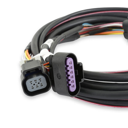 Holley EFI GM Drive-By-Wire Harness