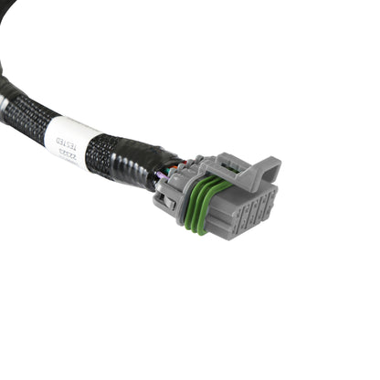 Ford V8 Injector Harness