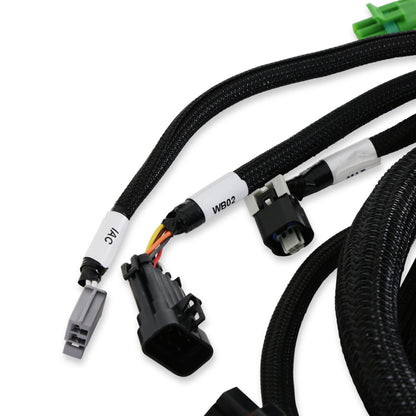 Holley EFI Ford Foxbody Main Harness