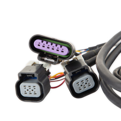 Dominator EFI GM Dual Drive-By-Wire Harness