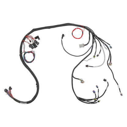 LS1/6 (24x/1x) Engine Main Harness - Extended Length